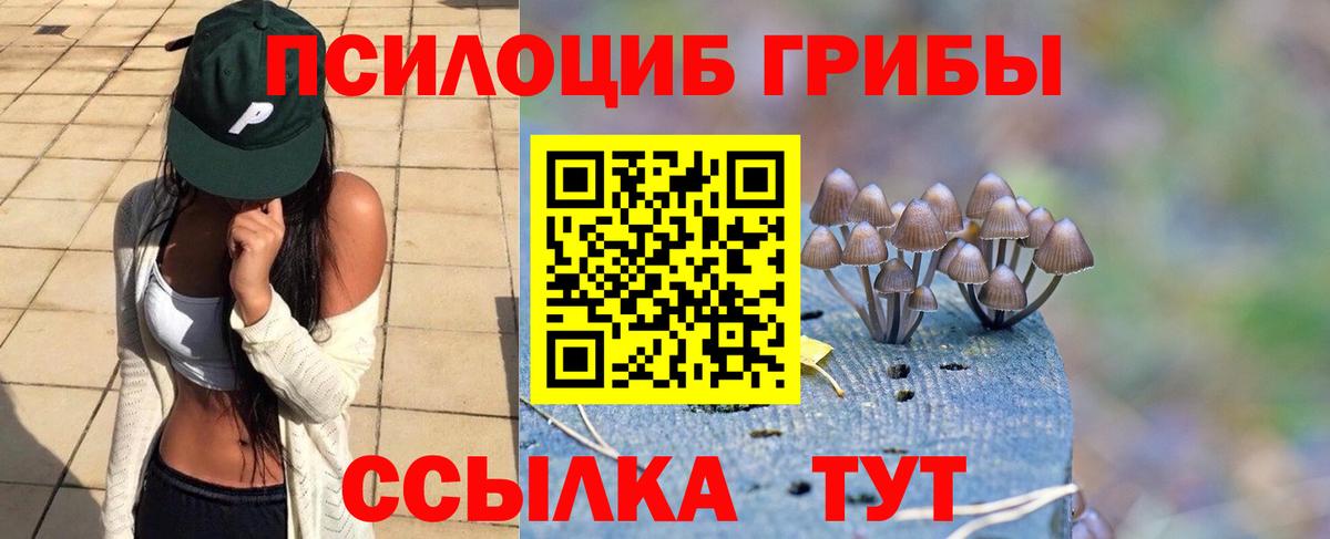 Галлюциногенные грибы прущие грибы Шали