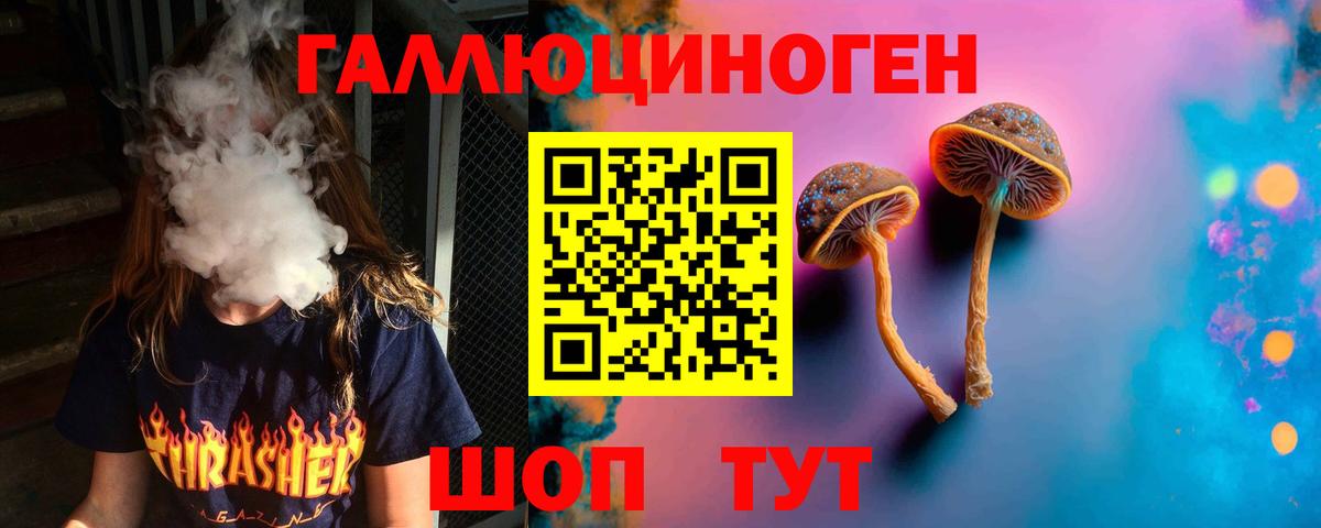 Шали  Псилоцибиновые грибы Psilocybine cubensis  Вход с VPN  Галлюциногенные грибы Cubensis 